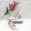 Thumbnail: Printed Comfy Pair Of Heels